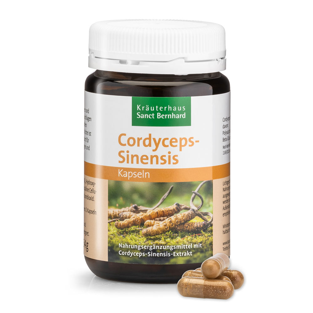 Kräuterhaus Sanct Bernhard Femme Cordyceps Sinensis Gélules 90 Gélules