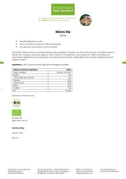 Mûres bio 500 g