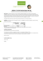 Gélules à l'acide hyaluronique 500 mg 90 gélules