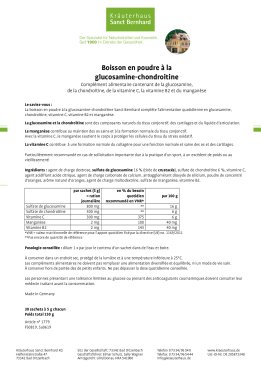 Boisson en poudre à  la glucosamine-chondroïtine 150 g