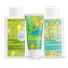Set  « Coup de fouet du matin » Citron 600 ml