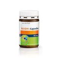 Gélules de NADH 20 mg 30 gélules