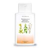 Lotion capillaire biologique aux herbes 500 ml