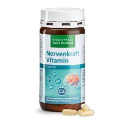 Nerfs solides Gélules vitaminées 180 gélules