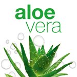 Aloe vera - soin de la peau