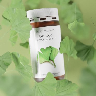 Gélules de ginkgo 75 mg 240 gélules