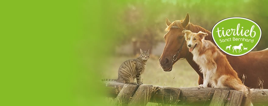 Pour les animaux - tierlieb Sanct Bernhard