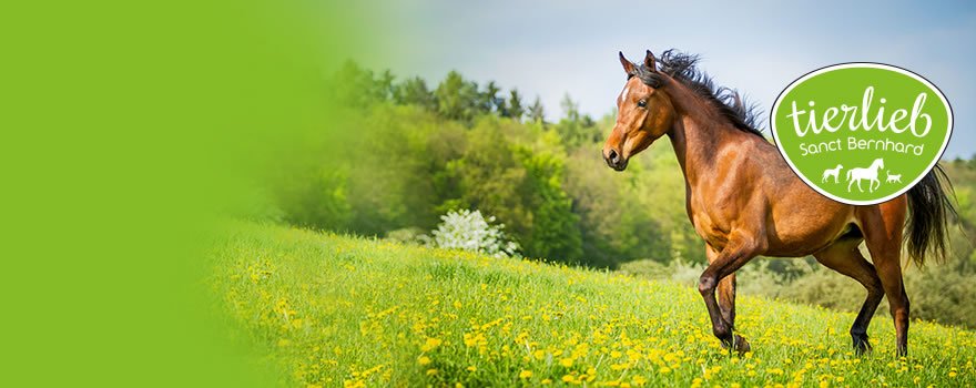 tierlieb pour chevaux